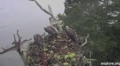 Skop - felülmúlhatatlan búvár halász